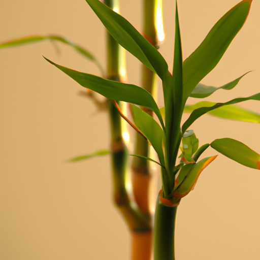 Bambus-Pflanze