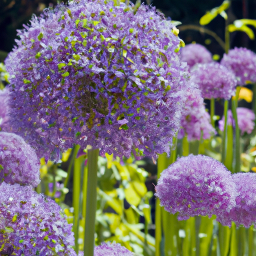 Blumenzwiebelpflanzer