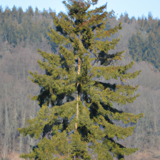 Felgenbaum (255 mm)