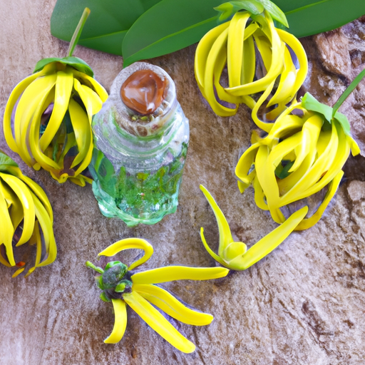 Ylang-Ylang-Öl