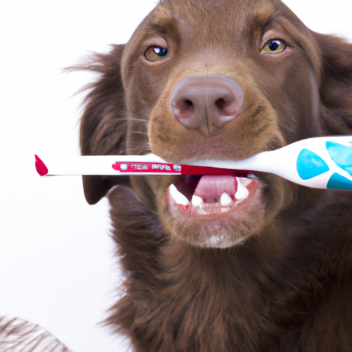 Zahnpflege Hund