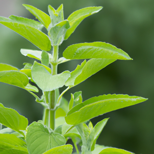 Salbe gegen Insektenstiche