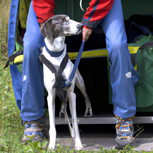 Tragehilfe-Hund