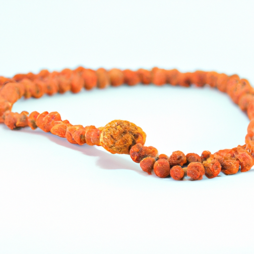 Rudraksha