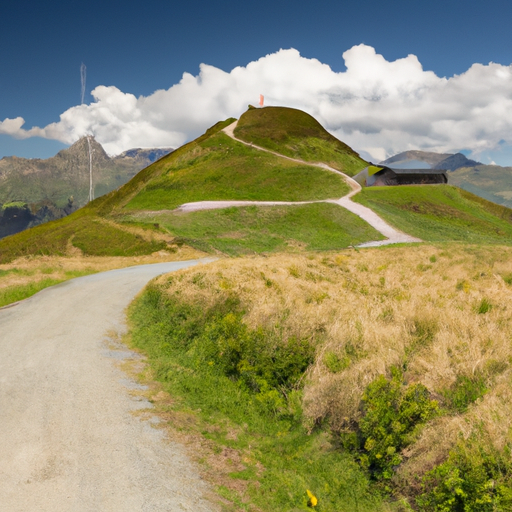 Hochflor-Teppich